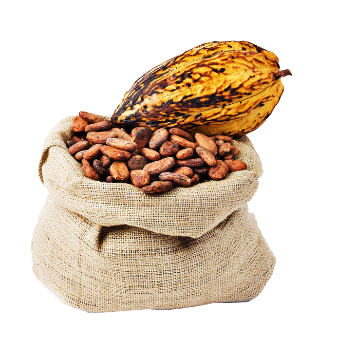 Interactive Layer Image